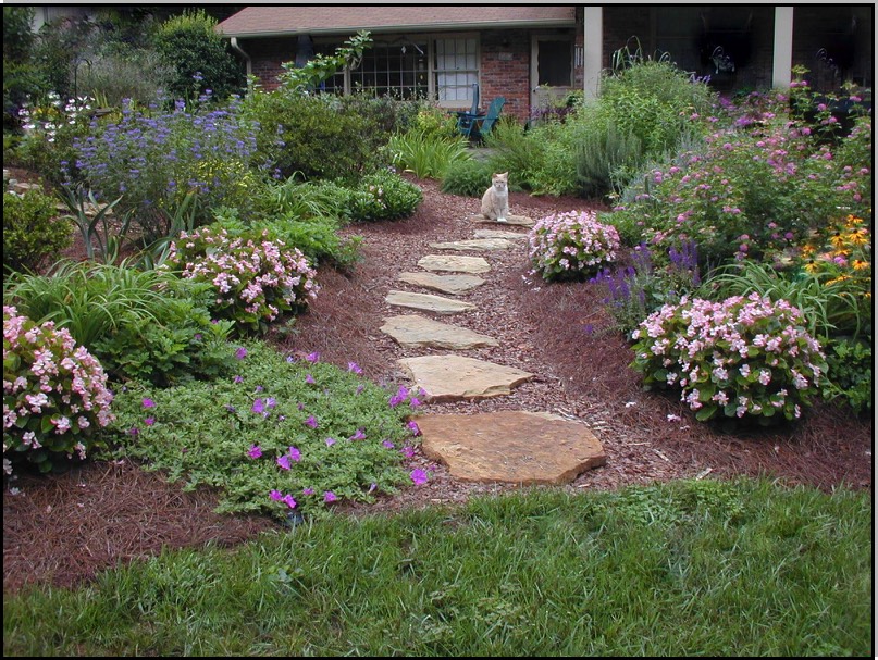 natural stepping stone path